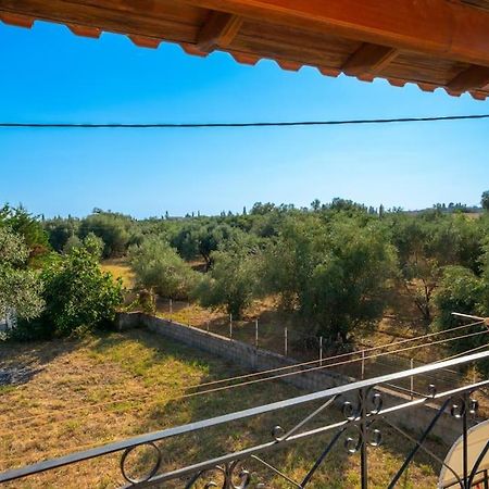 Afroditi Holiday Home- Green View Apartment Svoronata Eksteriør billede